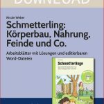 Schmetterling Körperbau Nahrung Feinde Und Co Für 2 45