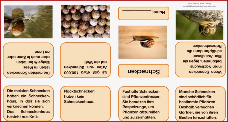 Kostenlose Schnecken Faltbüchlein pdf Schnecken Faltbüchlein pdf