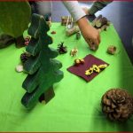 Schnecken In Der Basisstufe