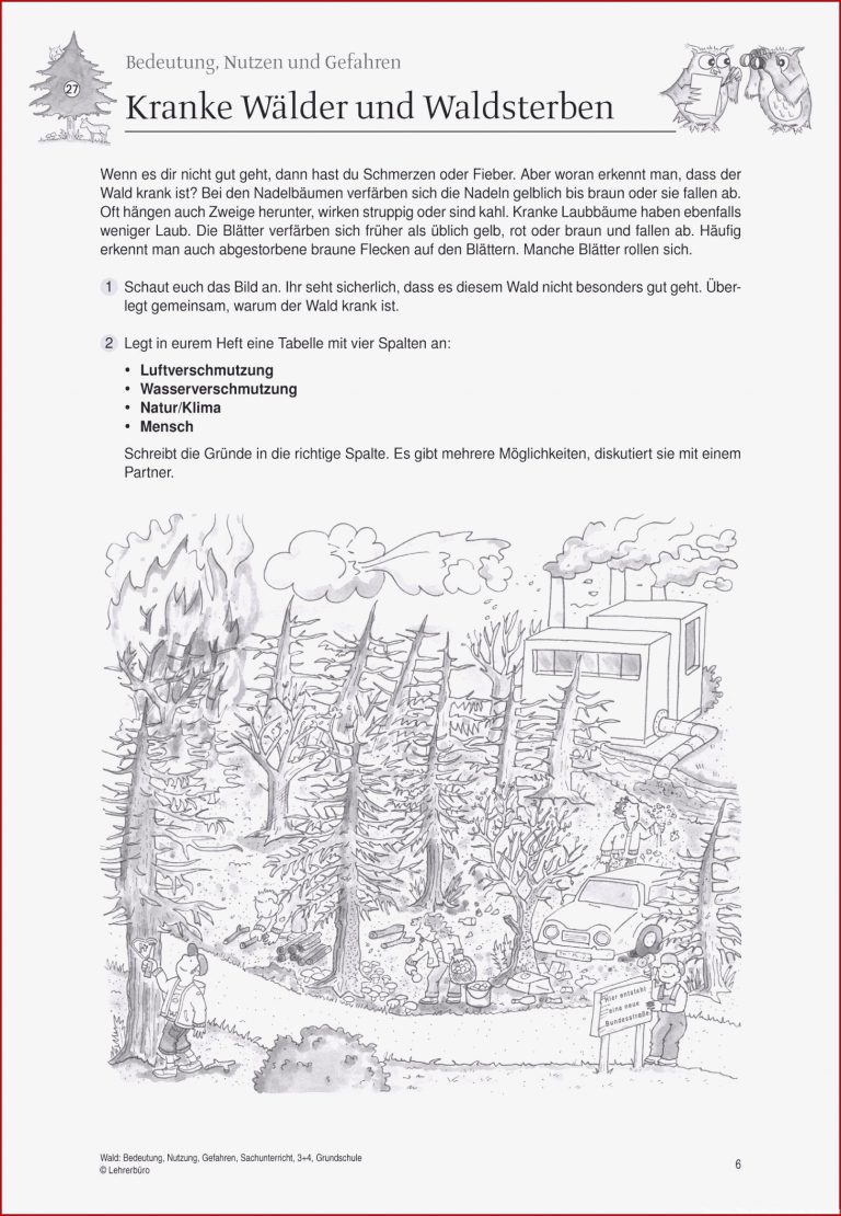 Schön Stockwerke Des Waldes Arbeitsblatt Grundschule