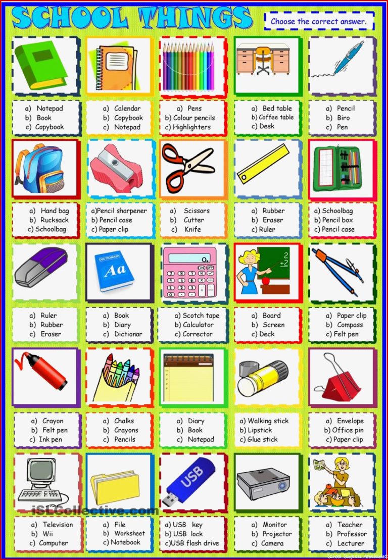 School things multiple choice activity