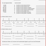 Schriftliche Multiplikation Arbeitsblätter 4 Klasse