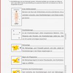 Schroedel Biologie Arbeitsblätter Lösungen Worksheets