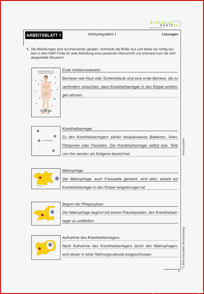 Schroedel Biologie Arbeitsblätter Lösungen Worksheets