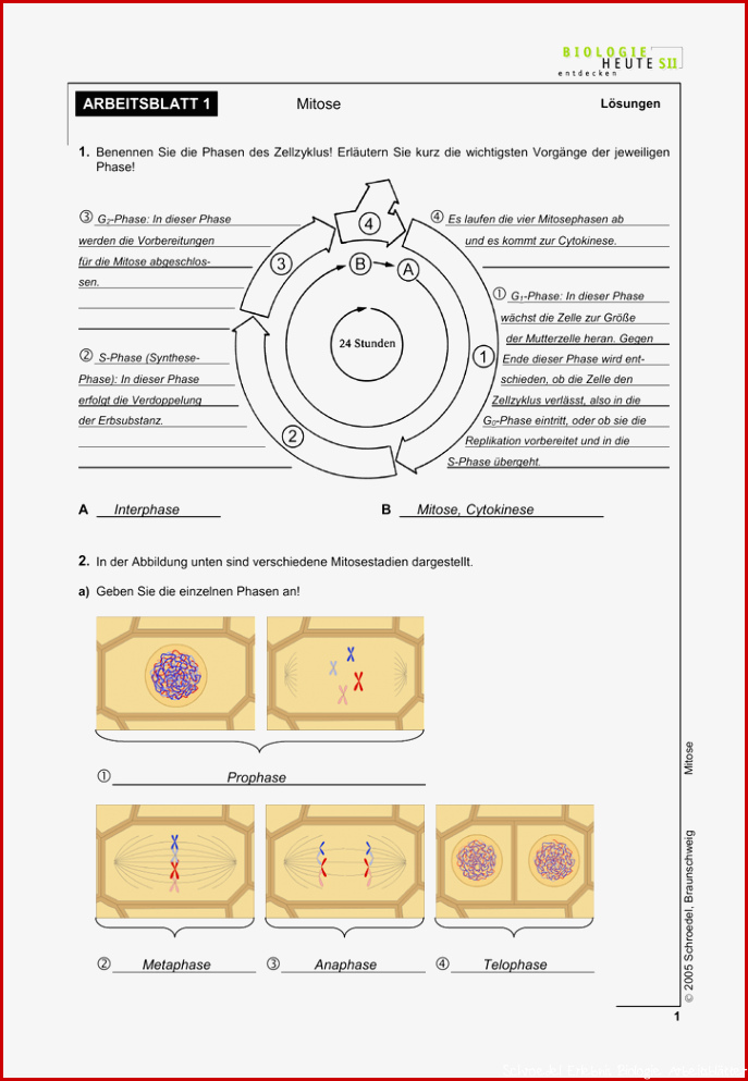 Schroedel Biologie Arbeitsblätter Lösungen Worksheets