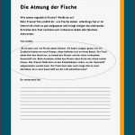 Schroedel Verlag Arbeitsblätter Biologie Lösungen Worksheets