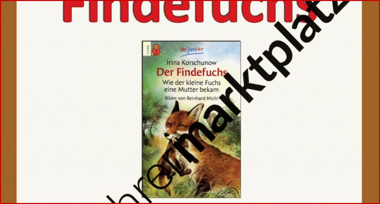 Schroedel Verlag Unterrichtsmaterialien Stephen Scheidt