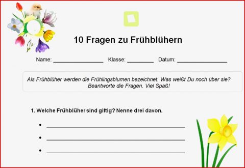 SchÜlerclub Dornbirn [ Biologie ] Kostenlose Arbeits