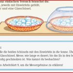 Schule Bildung Klimawandel Co2 Der Mensch Zerstört Das