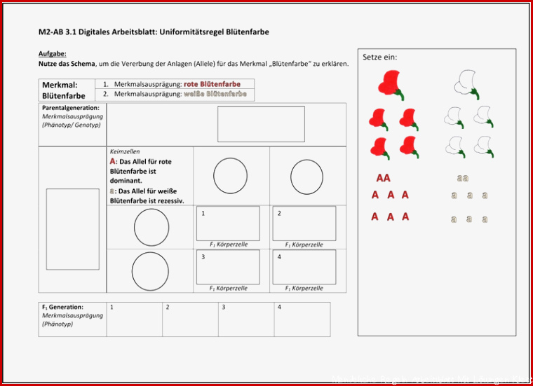 Schulentwicklung NRW - Inklusiver Fachunterricht - zu den ...