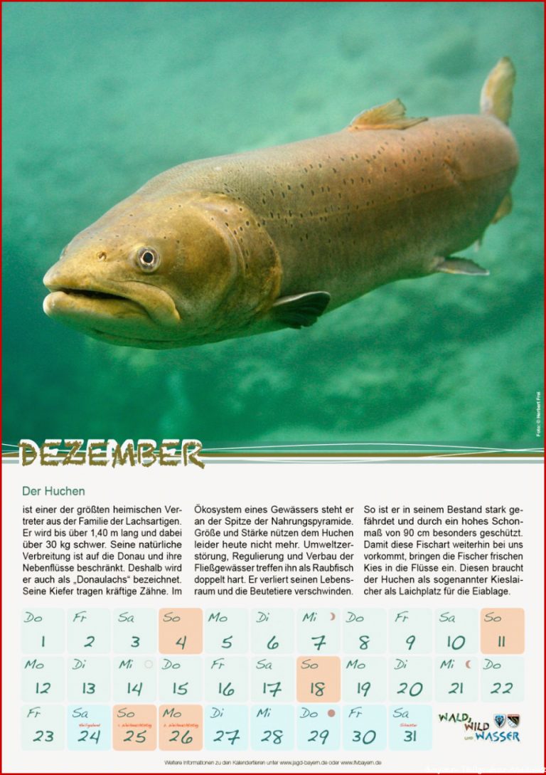 Schulkalender 2016 Archive Landesfischereiverband Bayern