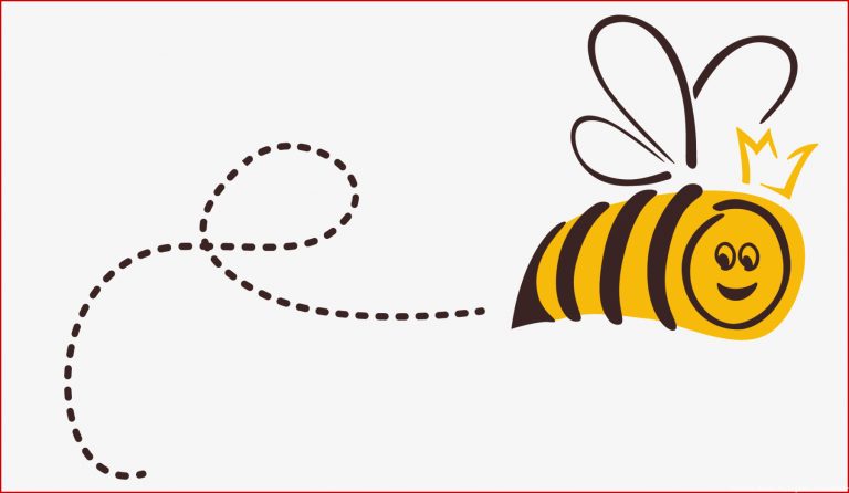 Schulprojekte Bienen im Kindergarten und Schule Honig