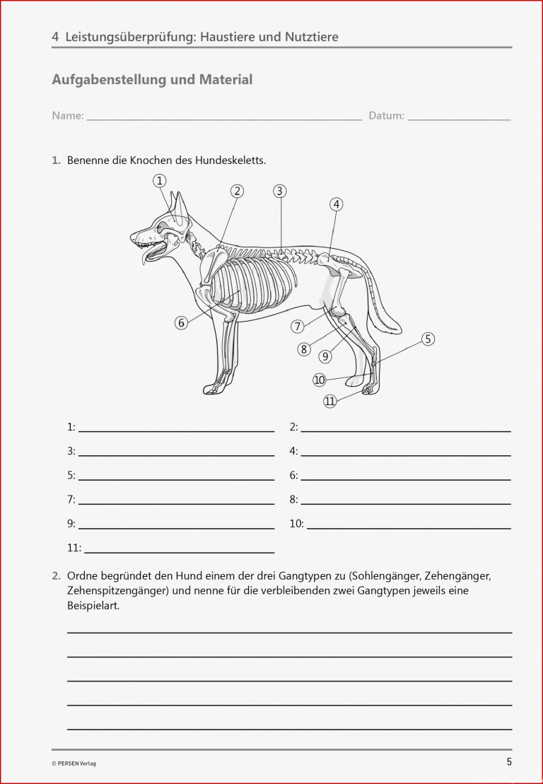 Schwerpunkte