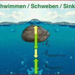 Schwimmen Schweben Sinken