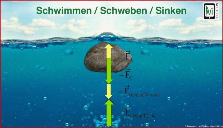 Schwimmen Schweben Sinken Ivi Lernvideo Von Arne