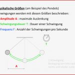 Schwingung Des Fadenpendels Phyplus Set Physik