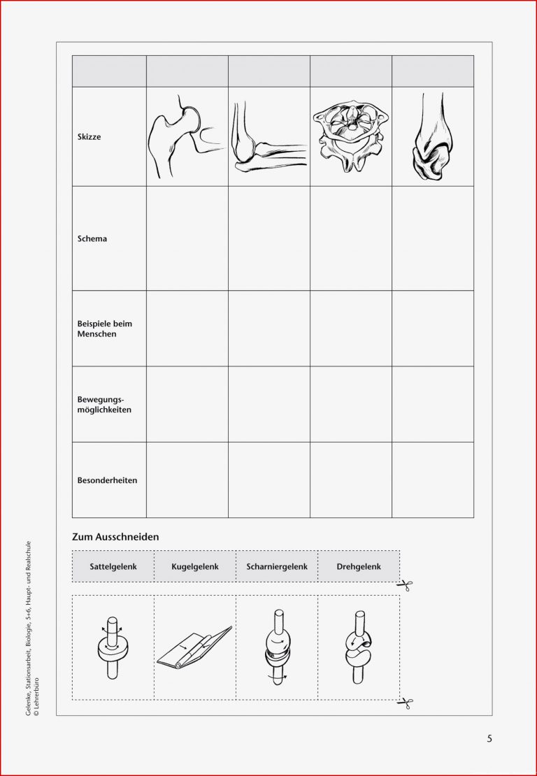 Sekundarstufe I Unterrichtsmaterial