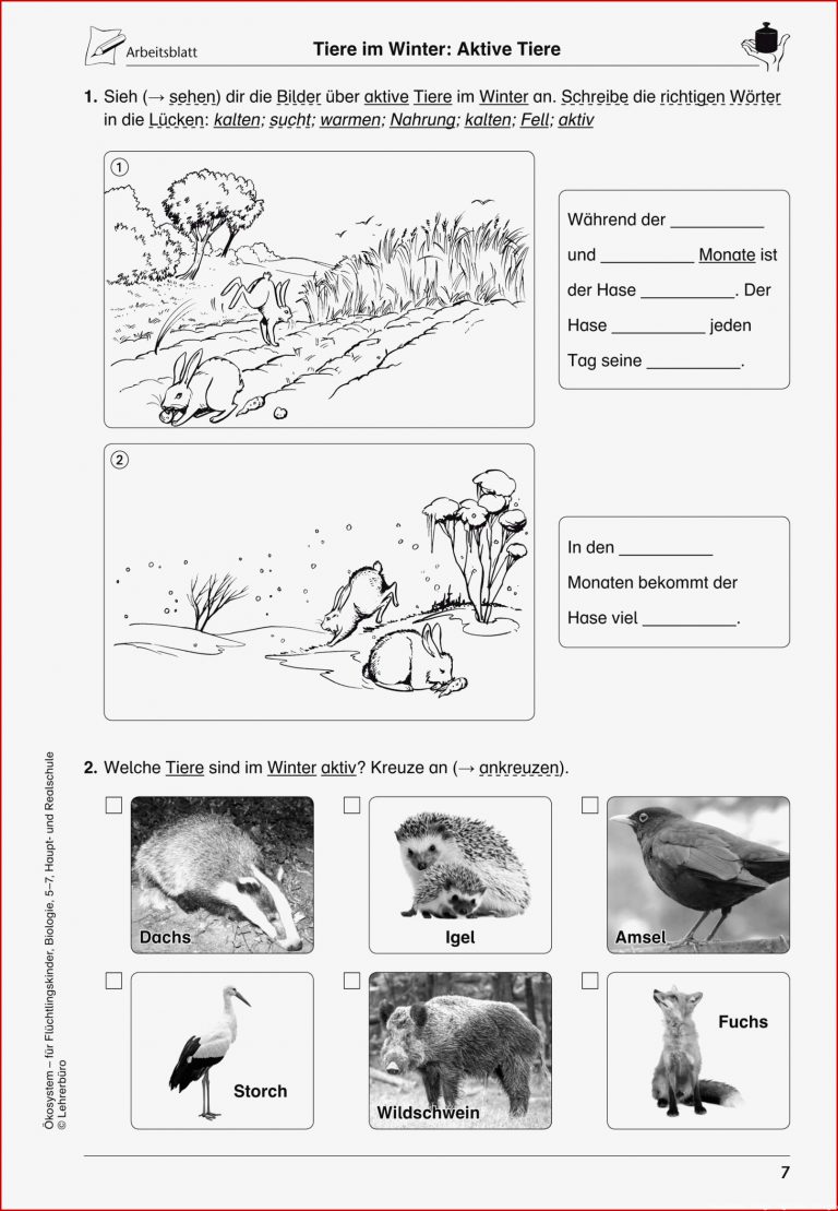 Sekundarstufe I Unterrichtsmaterial Biologie