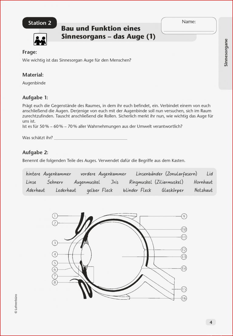 Sekundarstufe I Unterrichtsmaterial Biologie