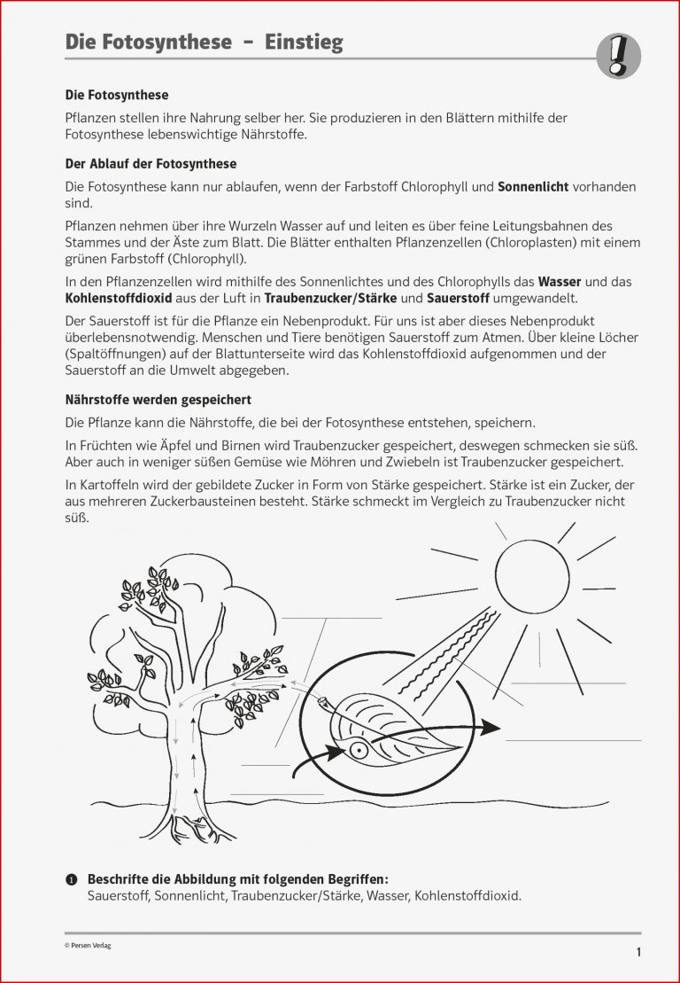 Sekundarstufe I Unterrichtsmaterial Biologie