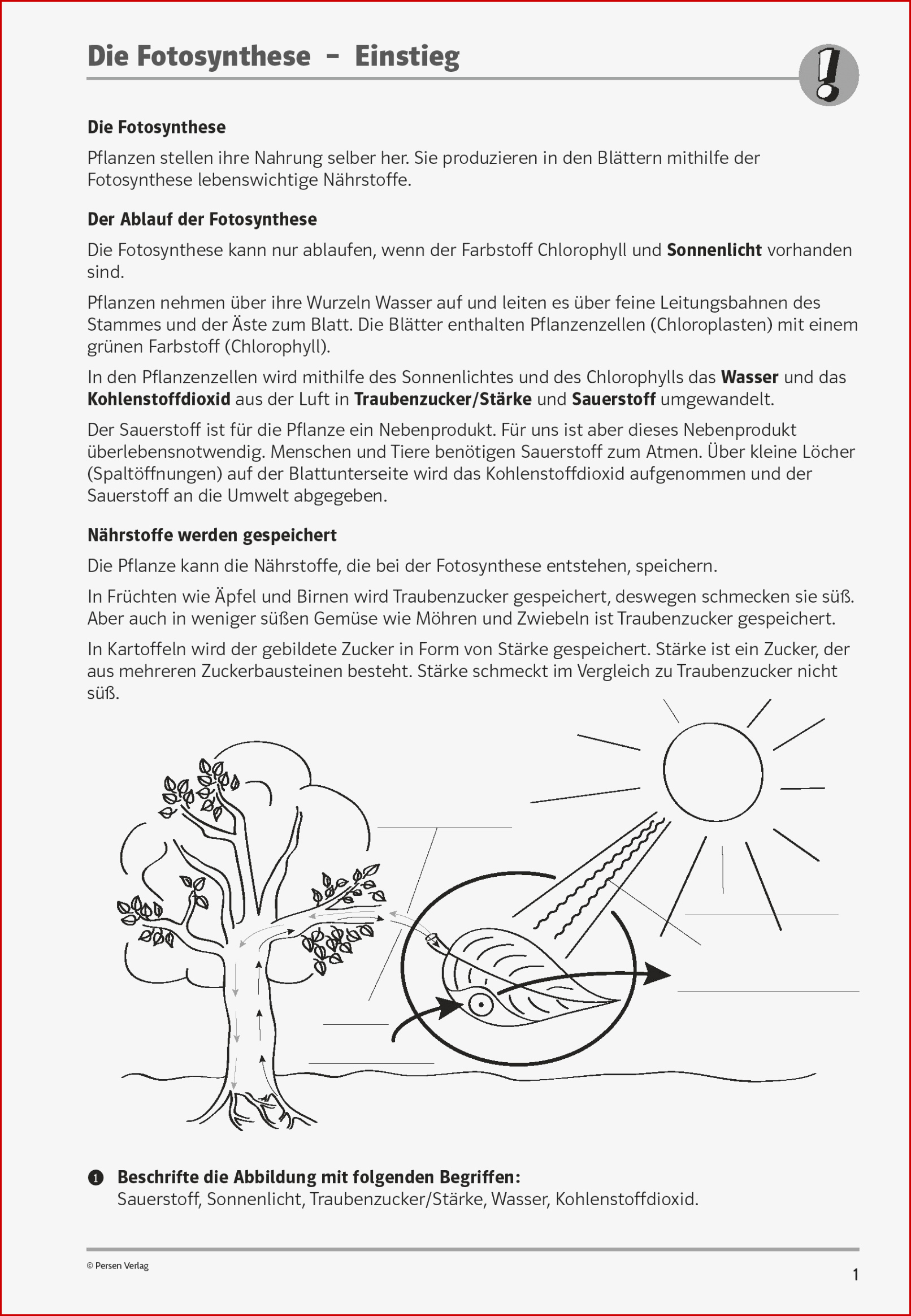 Sekundarstufe I Unterrichtsmaterial Biologie