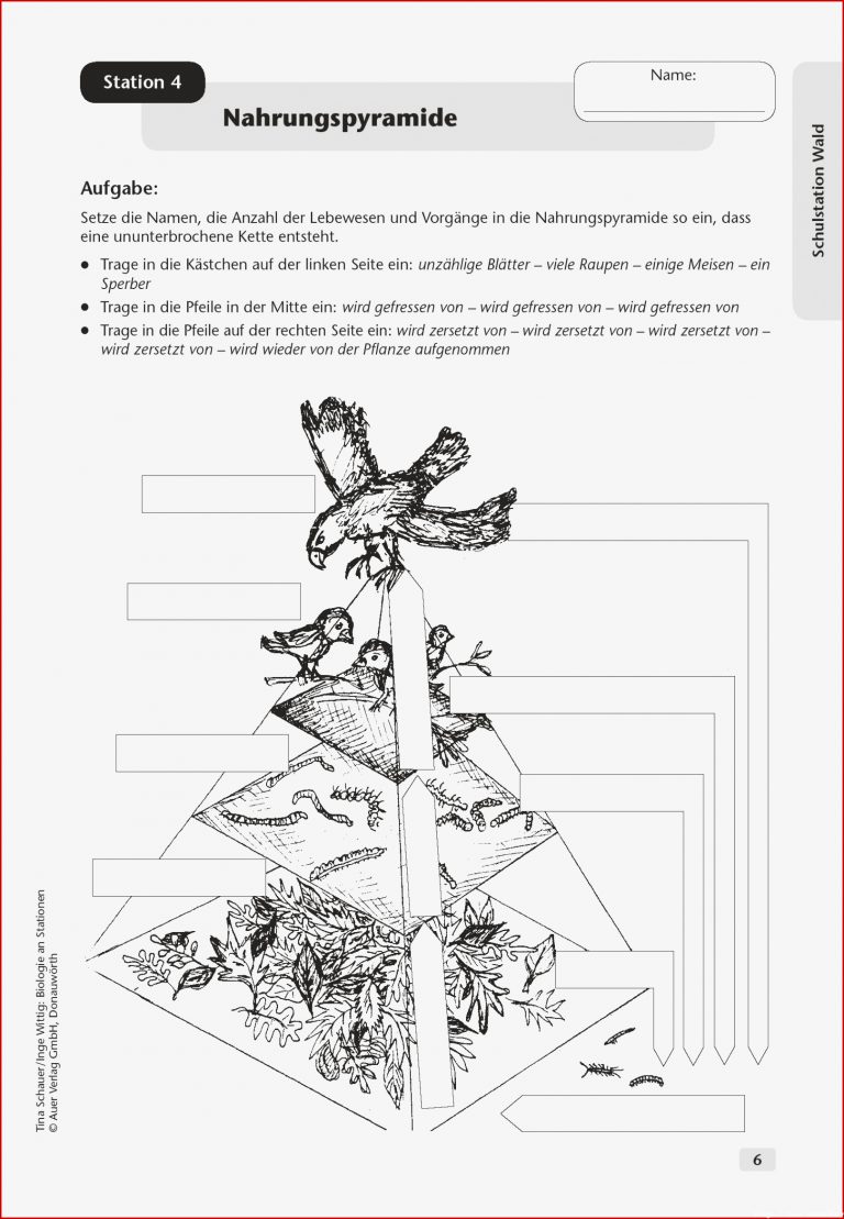 Sekundarstufe I Unterrichtsmaterial Biologie