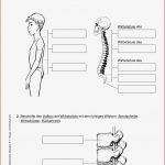 Sekundarstufe I Unterrichtsmaterial Biologie