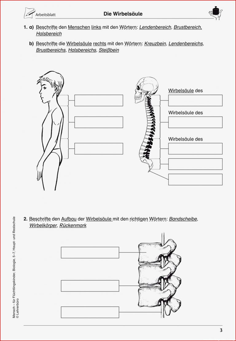 Sekundarstufe I Unterrichtsmaterial Biologie