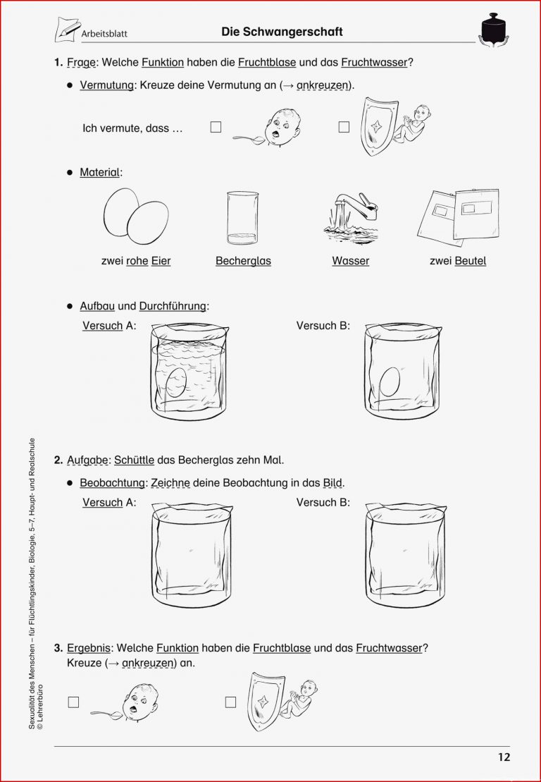 Sekundarstufe I Unterrichtsmaterial Biologie