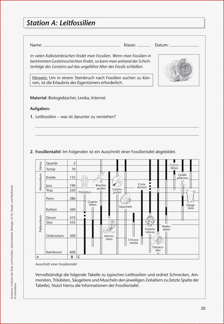 Sekundarstufe I Unterrichtsmaterial Biologie Evolution