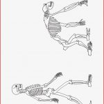 Sekundarstufe I Unterrichtsmaterial Biologie Evolution