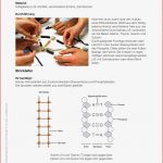 Sekundarstufe I Unterrichtsmaterial Biologie Genetik