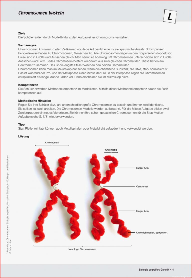 Sekundarstufe I Unterrichtsmaterial Biologie Genetik