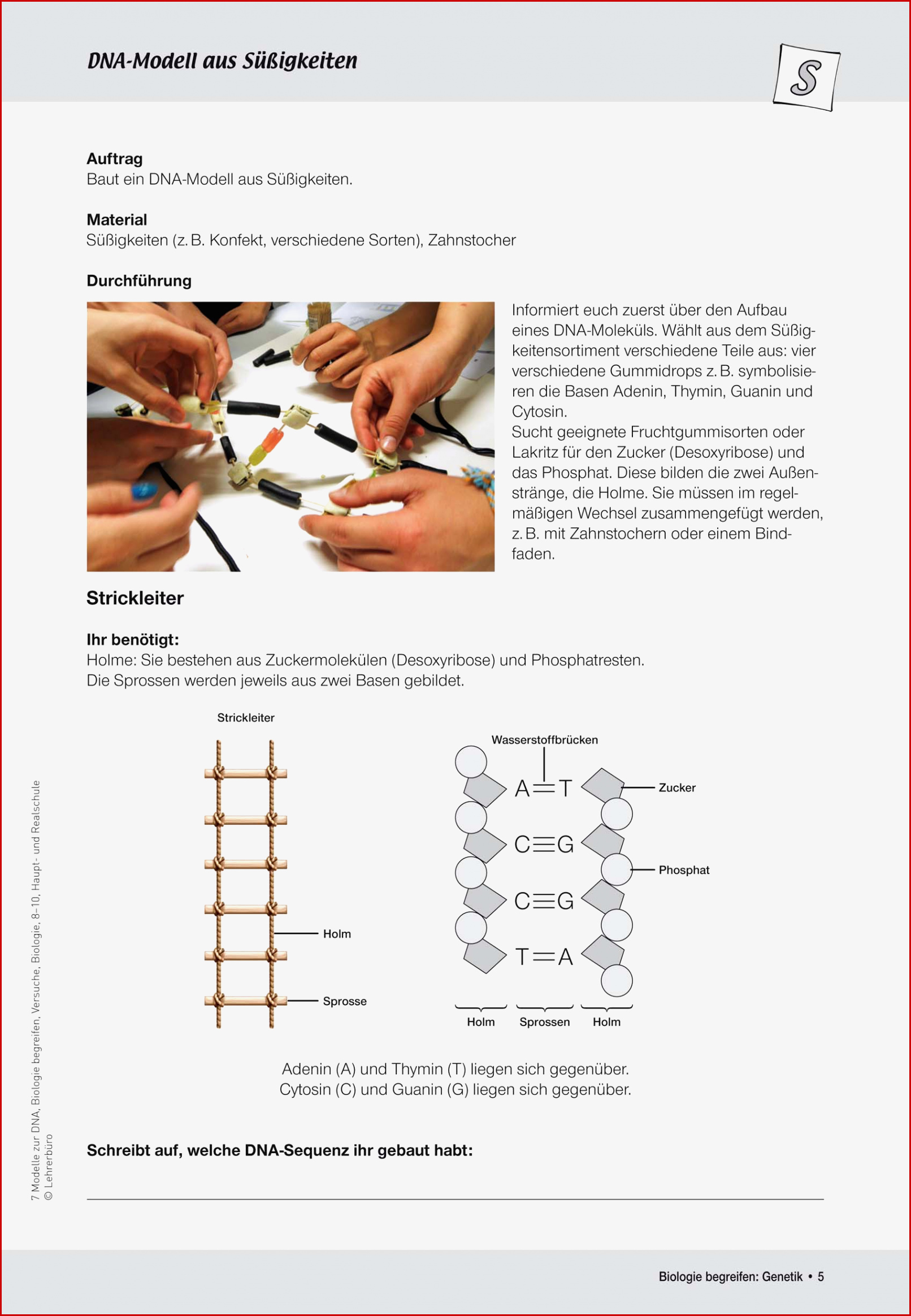 Sekundarstufe I Unterrichtsmaterial Biologie Genetik