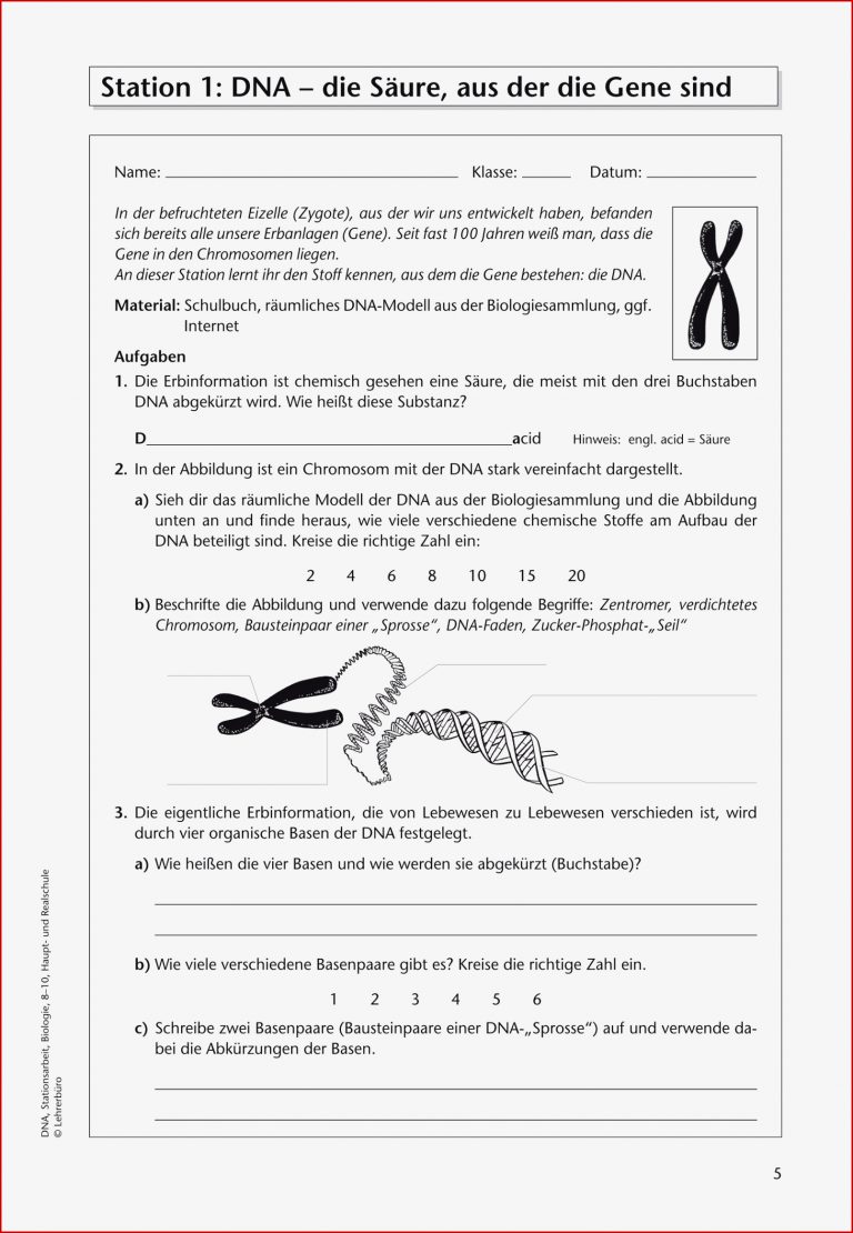 Sekundarstufe I Unterrichtsmaterial Biologie Genetik