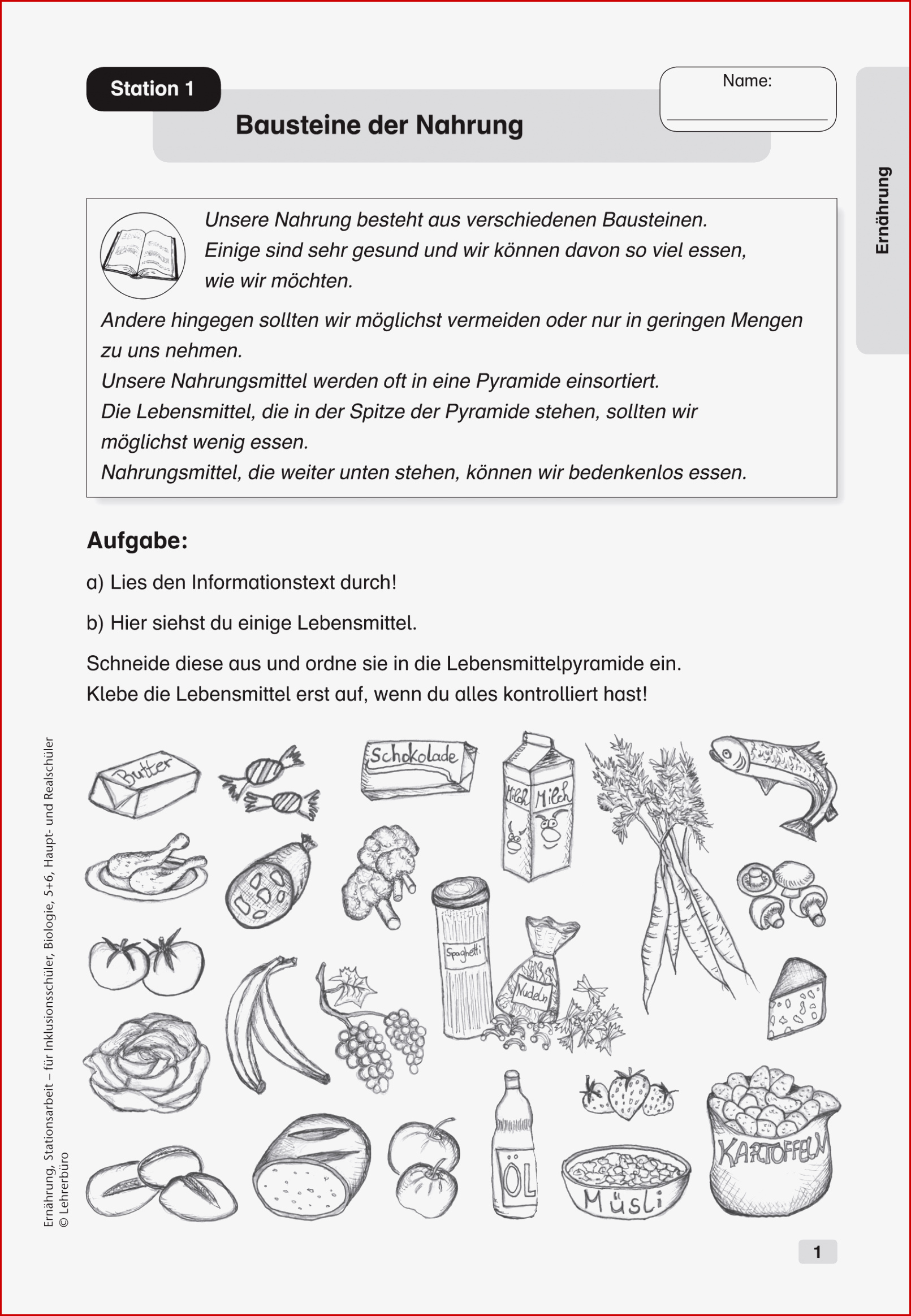 Sekundarstufe I Unterrichtsmaterial Biologie Inklusion