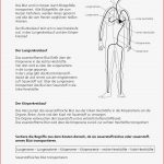 Sekundarstufe I Unterrichtsmaterial Biologie Körper Und