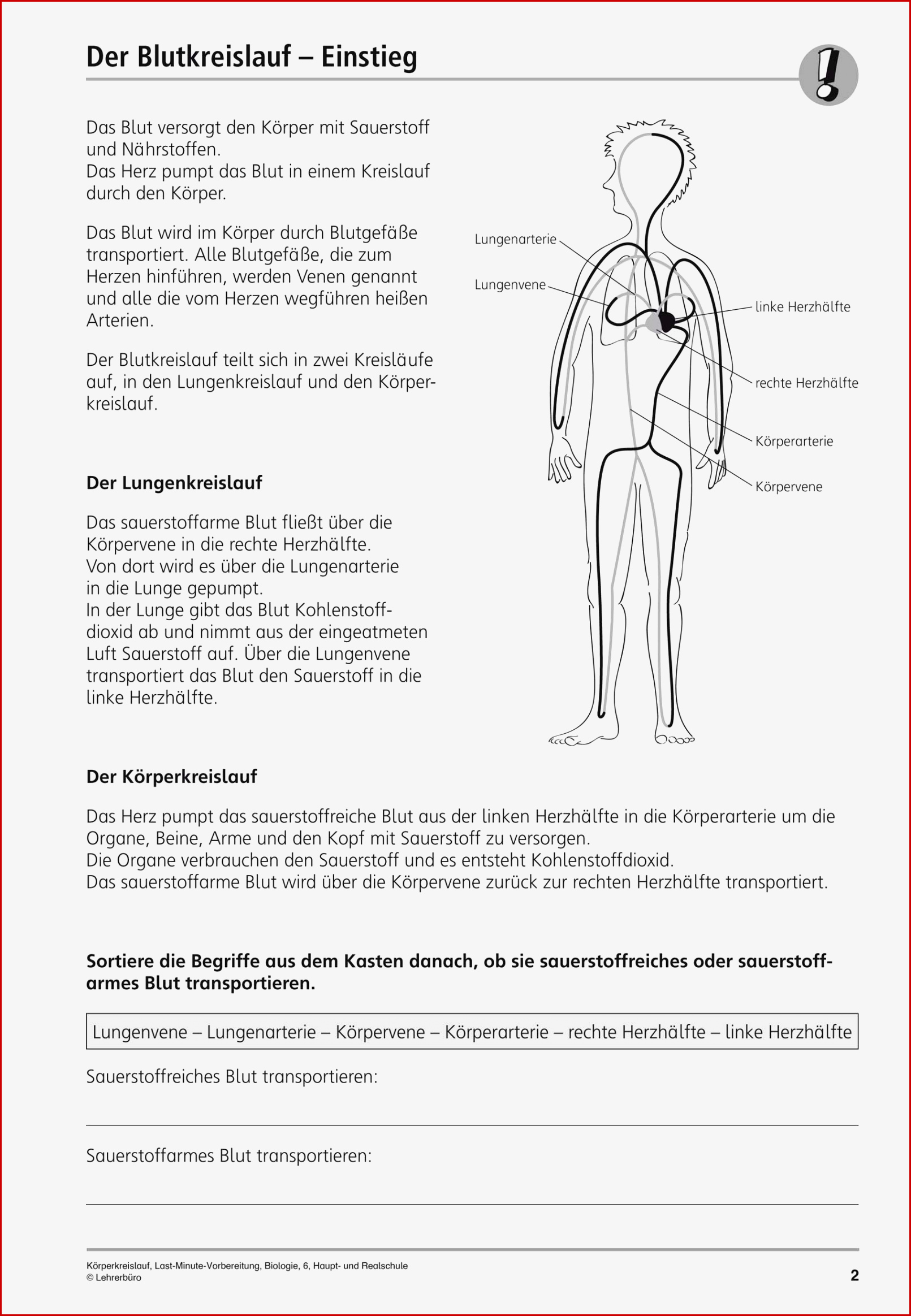 Sekundarstufe I Unterrichtsmaterial Biologie Körper Und