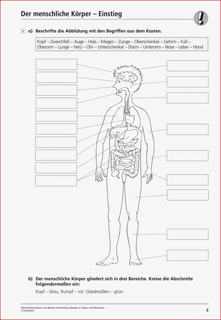 Sekundarstufe I Unterrichtsmaterial Biologie Körper Und