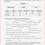 Sekundarstufe I Unterrichtsmaterial Biologie Körper Und