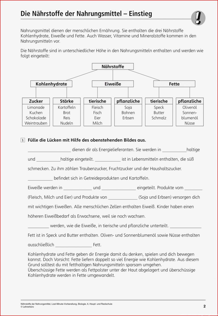 Sekundarstufe I Unterrichtsmaterial Biologie Körper und