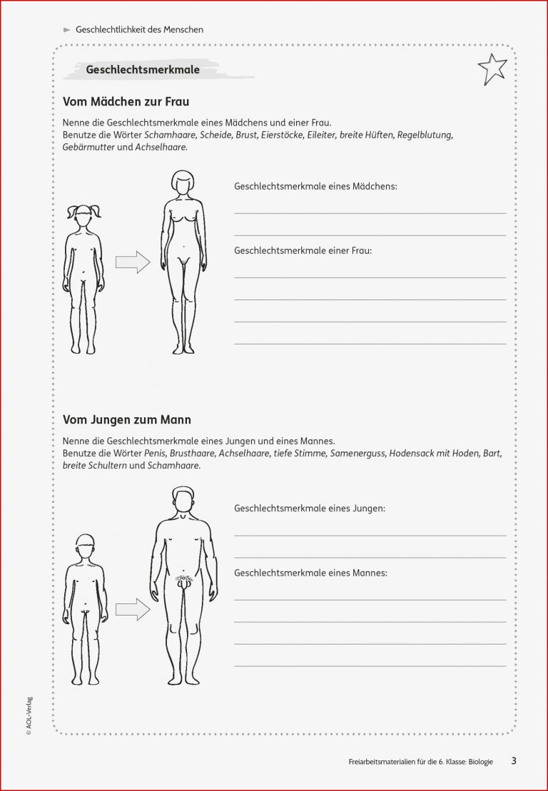 Sekundarstufe I Unterrichtsmaterial Biologie Körper und