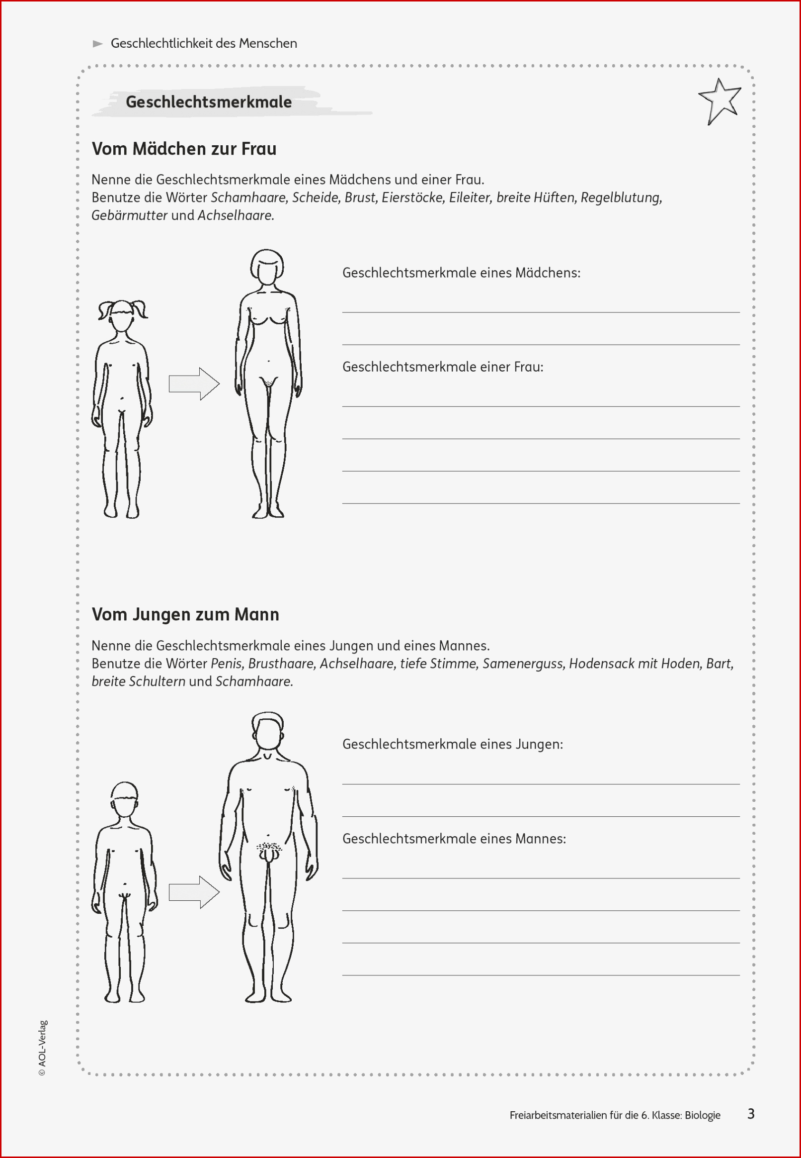 Sekundarstufe I Unterrichtsmaterial Biologie Körper Und