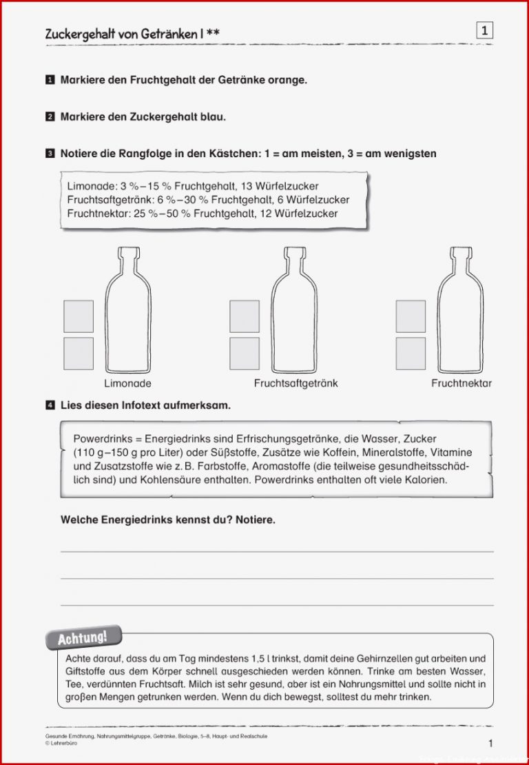 Sekundarstufe I Unterrichtsmaterial Biologie Körper und