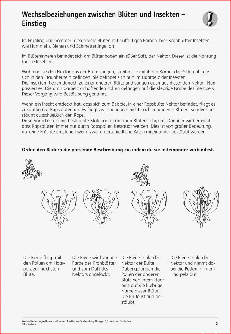 Sekundarstufe I Unterrichtsmaterial Biologie Pflanzen