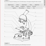 Sekundarstufe I Unterrichtsmaterial Biologie Pflanzen