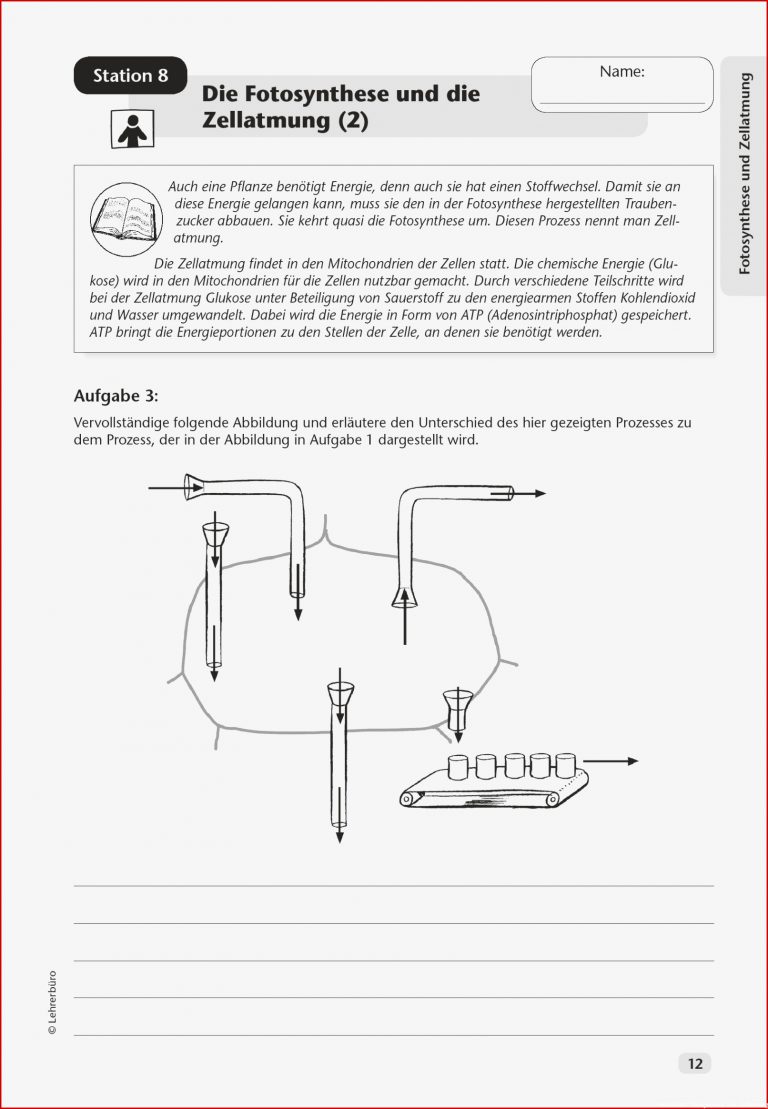 Sekundarstufe I Unterrichtsmaterial Biologie Pflanzen