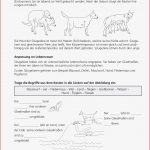 Sekundarstufe I Unterrichtsmaterial Biologie Tiere