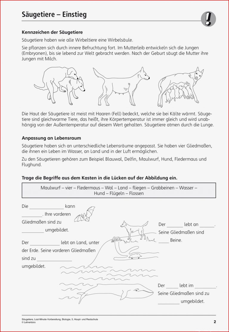 Sekundarstufe I Unterrichtsmaterial Biologie Tiere