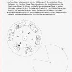 Sekundarstufe I Unterrichtsmaterial Biologie Tiere